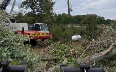 Five Signs You Need a Fall Yard Clean-Up Service To Prepare for Winter