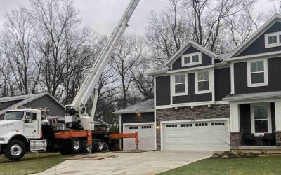 5 Fast-Growing Privacy Trees for Your Yard in Holland, MI